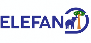 ELEFAN Supermarket